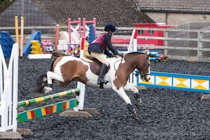 Class 3 -  Fences not above 2'3